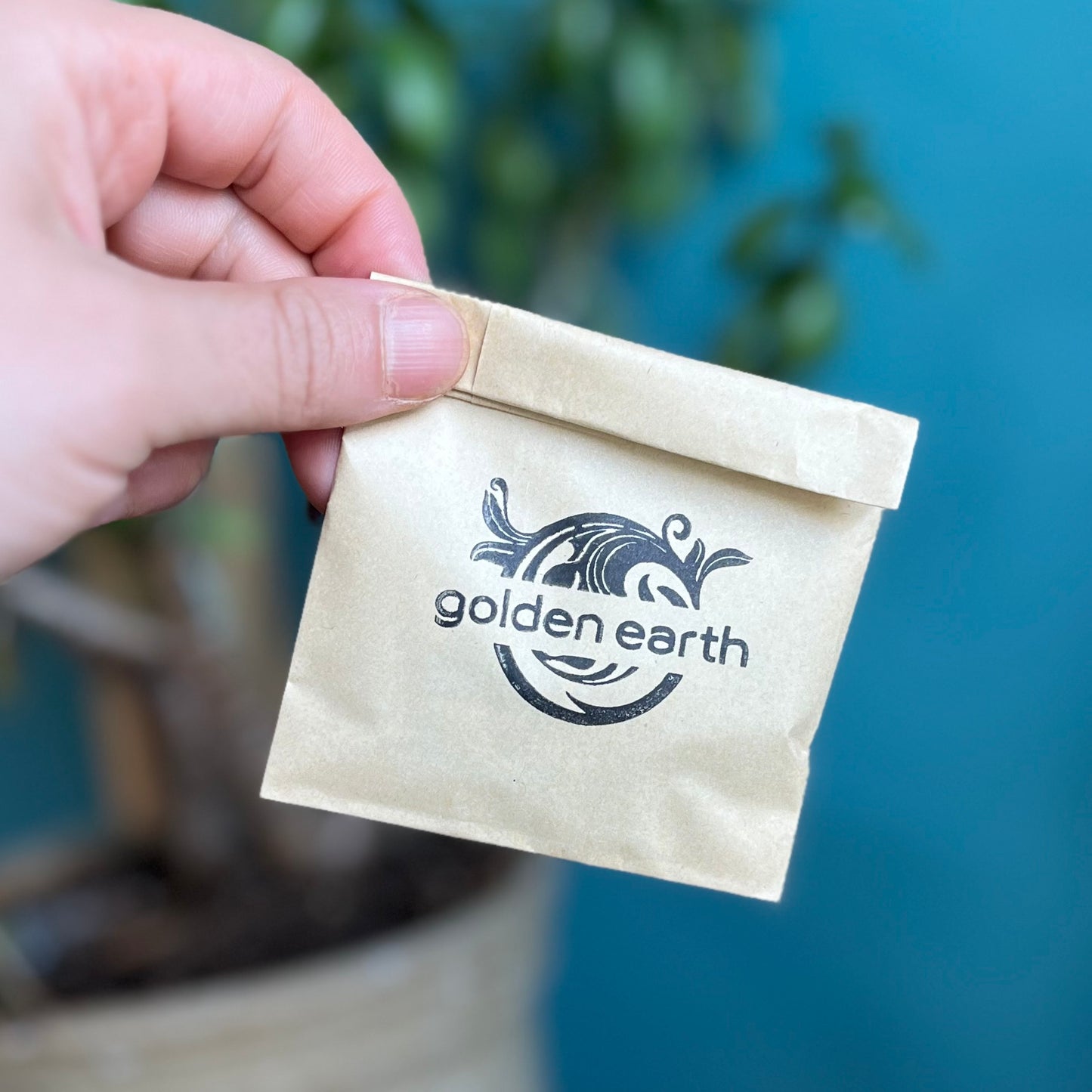 Mystery Button Bags